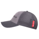 VI1457--SII---Truckercap-Panther.png